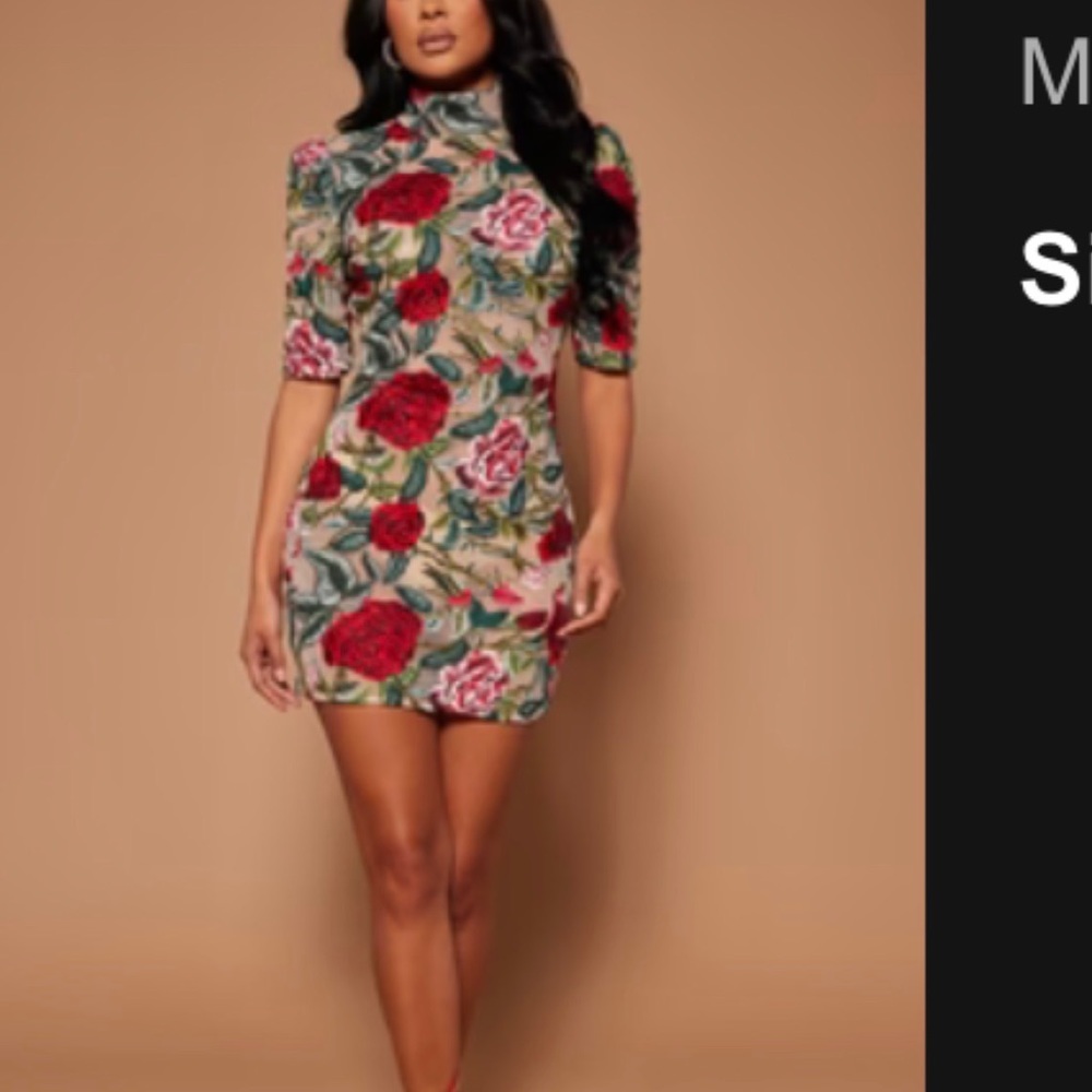 Renee Embroidered Mini Dress - Red will include nude slip